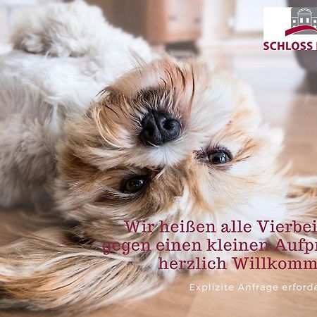 Boardinghouse Rathsmuehle Lägenhet Aachen Exteriör bild
